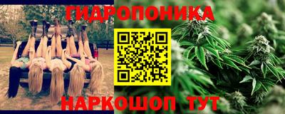 мяу мяу мука Гусь-Хрустальный