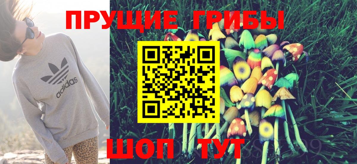 Мирный  Псилоцибиновые грибы ЛСД  Вход с VPN 